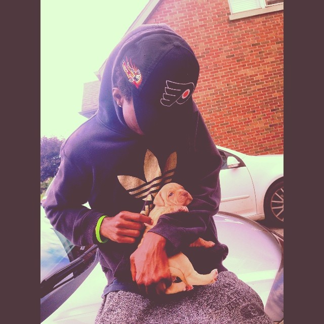 Mans Bestfriend